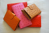 Ostrich Leather Products