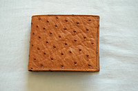 Ostrich Leather Products