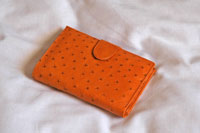 Ostrich Leather Products