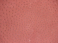 Ostrich Skin Matte Burnt Pink